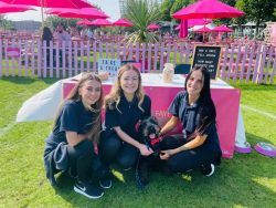 Our Team at the Liverpool One Dog Show 2021