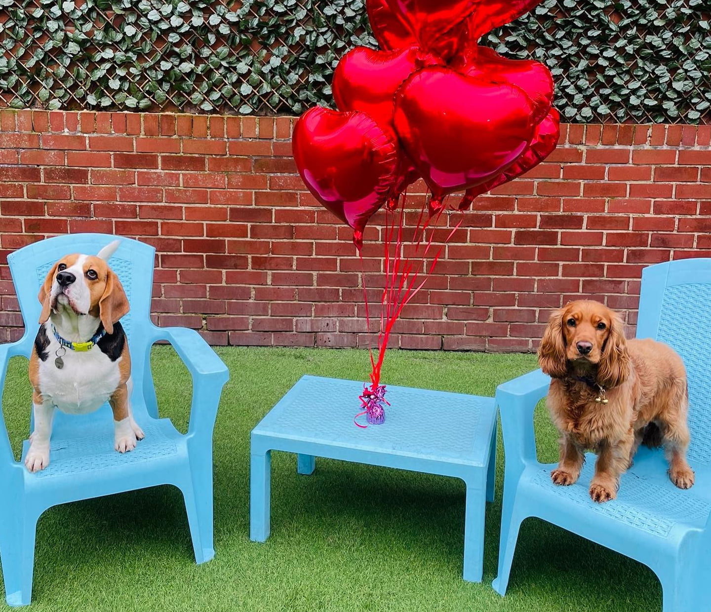February Round-Up: The Latest News From Faye & Team