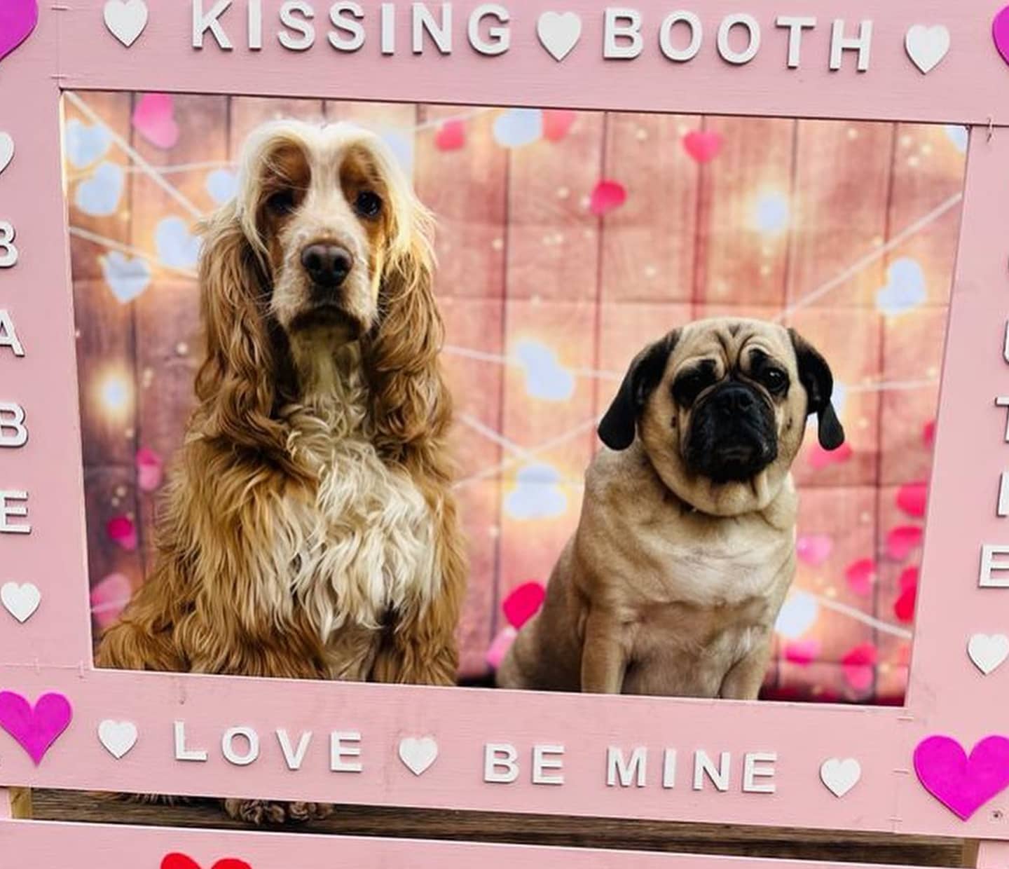 Your Feb 2023 News Round-up From Faye and the Team