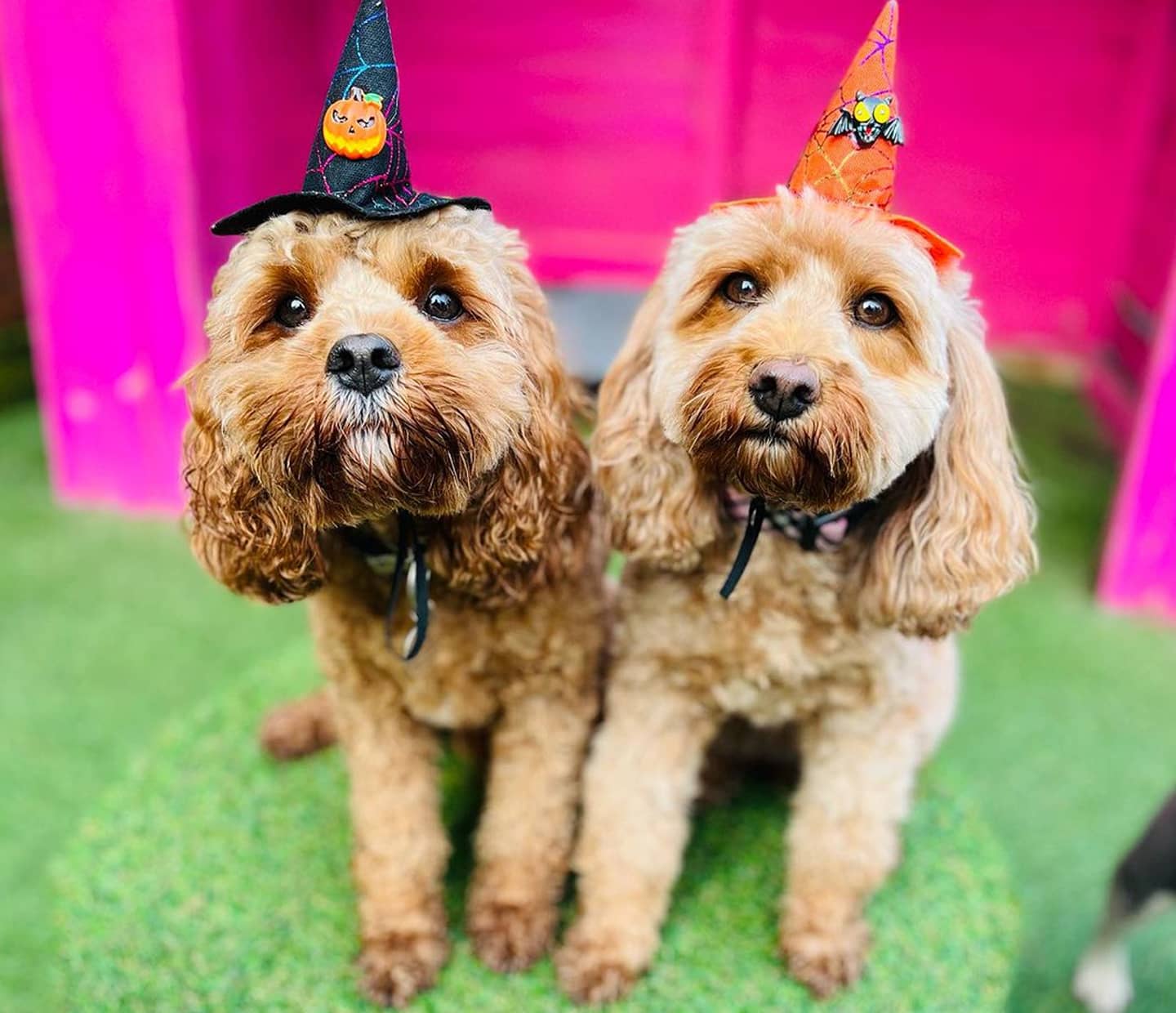 Halloween, Awards and More: November 2023 News Round-up